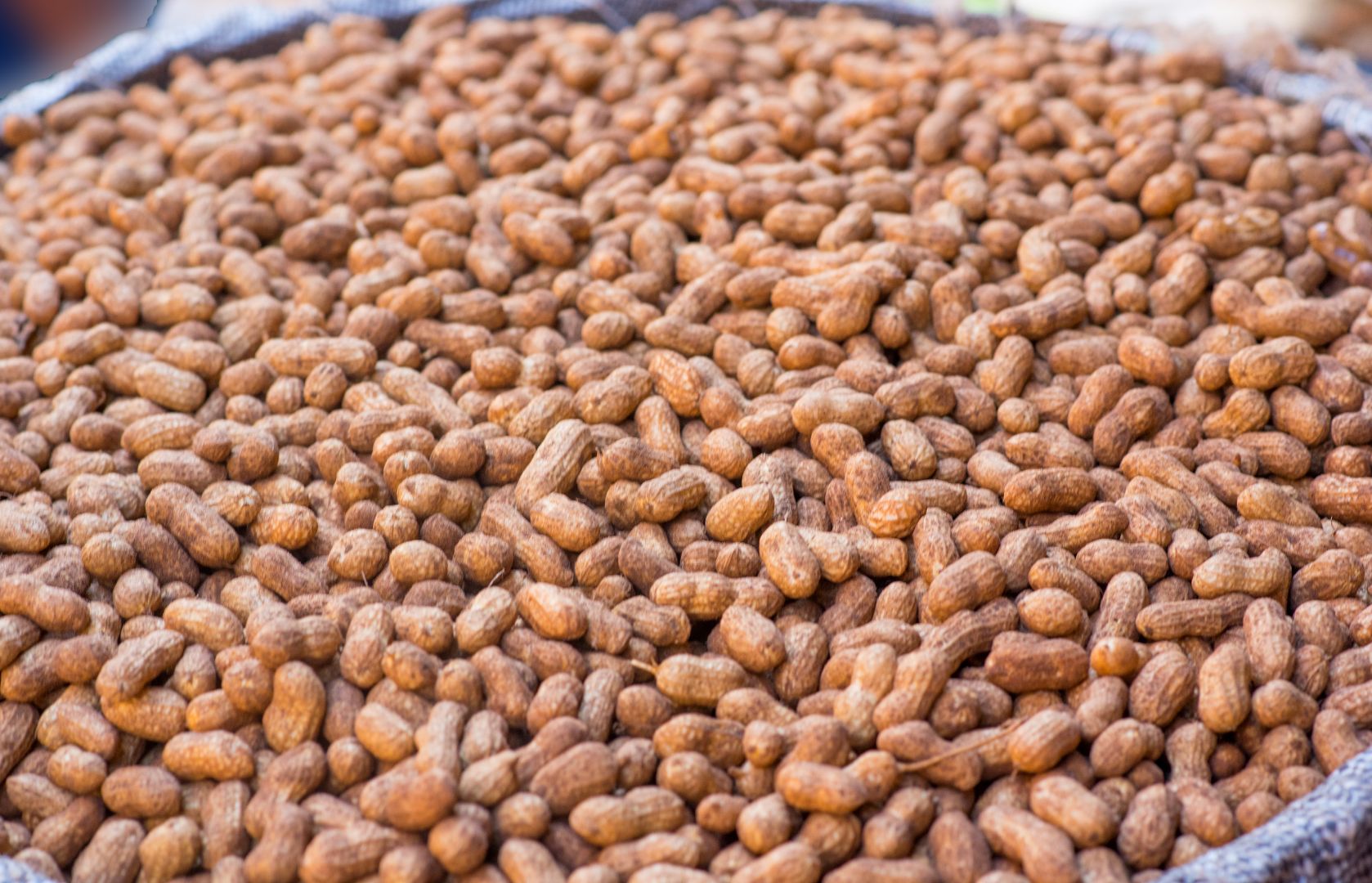 Farmer with fresh produce