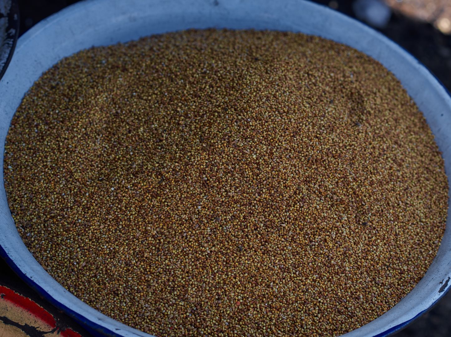 Brown Millet