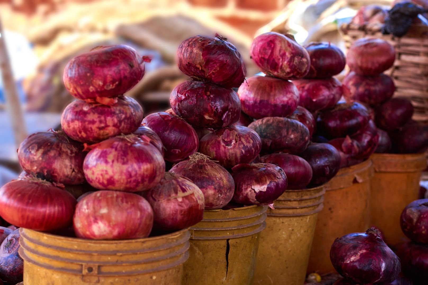 Brown Onion
