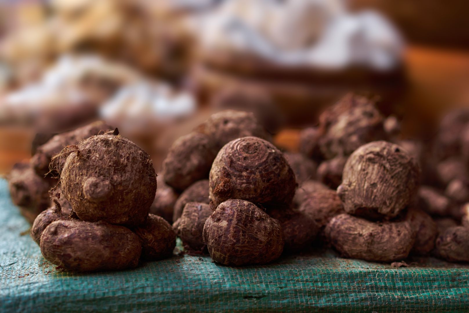 Cocoyam