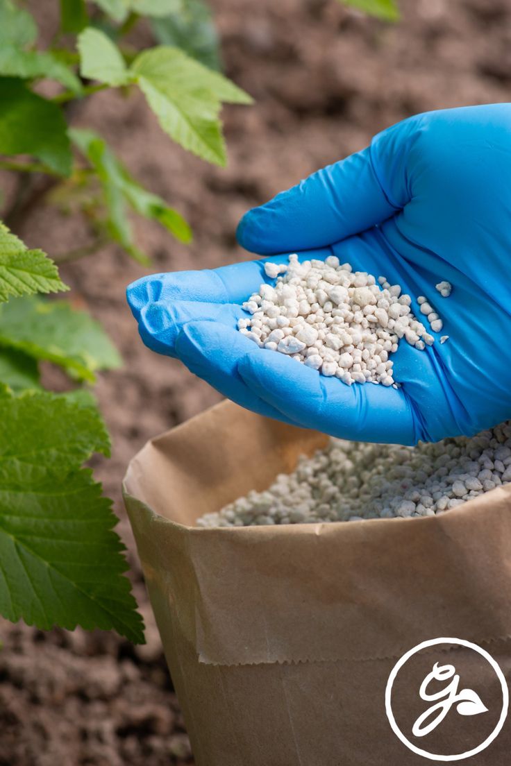 Organic Fertilizer