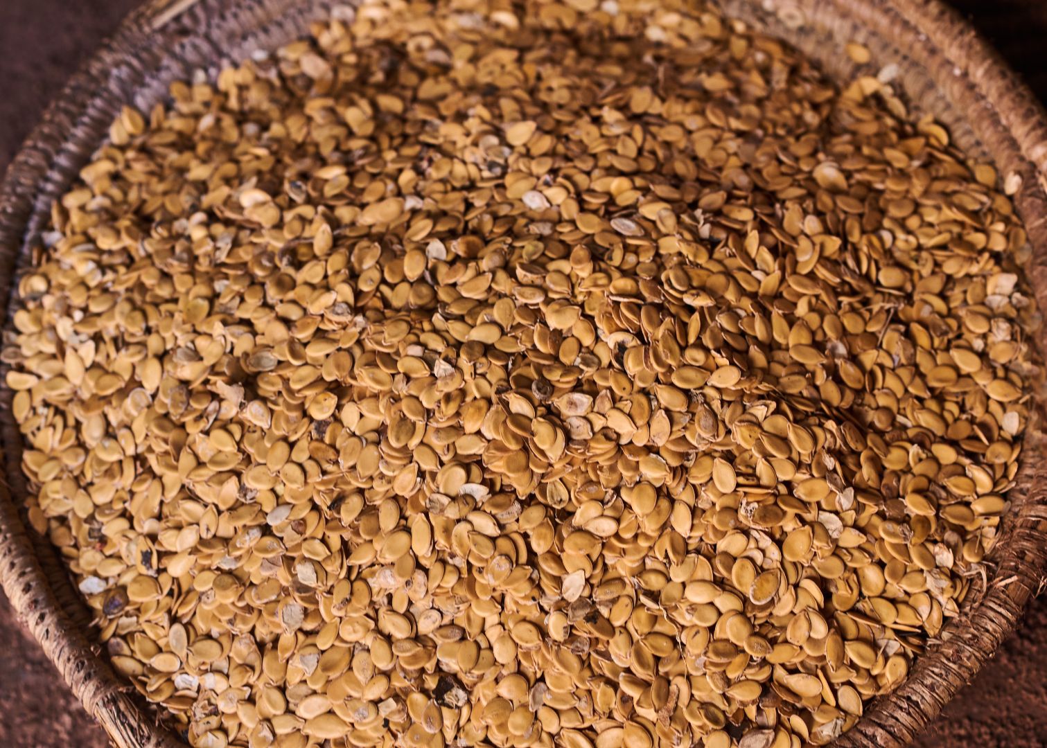 Melon seeds (Eguisi)